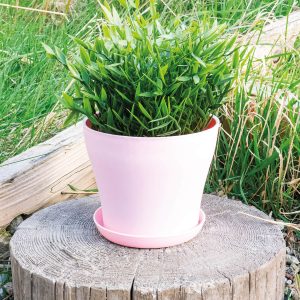 Pink Plastic Plant Pot 10.5X9Cm