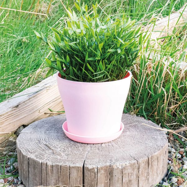 Pink Plastic Plant Pot 13X10Cm