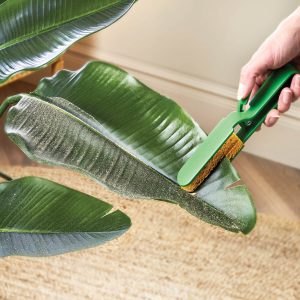 Plant Leaf Cleaner, Size: L21cm, Removes Dust and Dirt