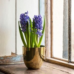 Polished brass pot cover