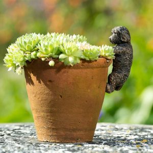 Pot Buddies - Cockapoo