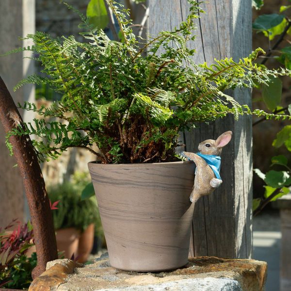 Pot Buddies - Peter Rabbit Climbing