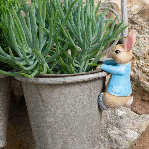 Pot Buddies Peter Rabbit Hanging Colour