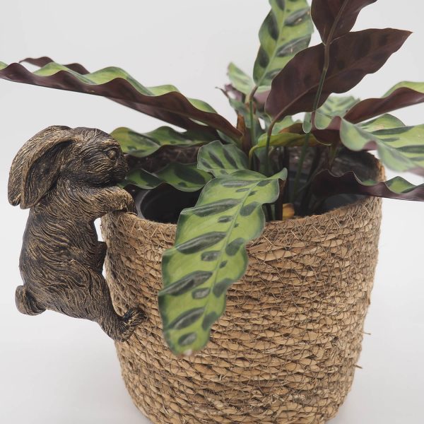 Pot Buddies Rabbit Bronze