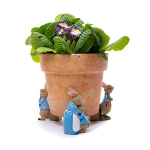 Pot Feet Peter Rabbit Carrot Set