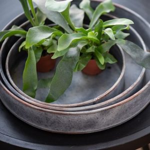 Pot trays aged zinc - set of 3