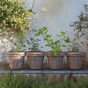 Pot window basket