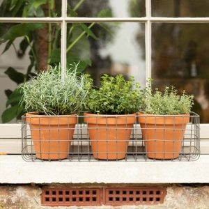 Pot window basket