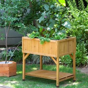 RHS VegTrug raised bed planter