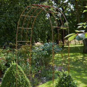 Rambling rose garden arch - rust