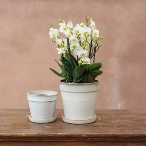 Reactive glaze plant pot with saucer - off white