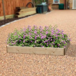 Rectangular Raised Bed 1 Tier (H15Cm) 90 X 120Cm