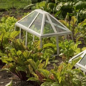 Rectangular Victorian cloche