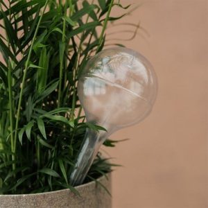 Recycled plastic pot waterers set of 2 - clear