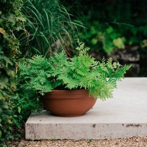 Ribbed Italian terracotta bowl