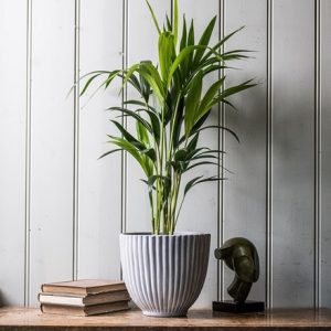 Ribbed terracotta plant pot - light grey