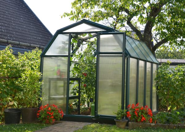 Rion Eco 6x8 Greenhouse