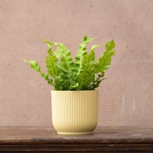 Round ribbed plant pot - yellow