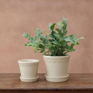 Scalloped tapered plant pot & saucer - cream