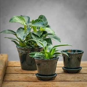 Scalloped tapered plant pot & saucer - petrol blue