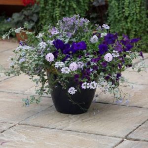 Sea blues - Easyplanter for hanging baskets & patio pots