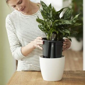 Self watering plant pot insert