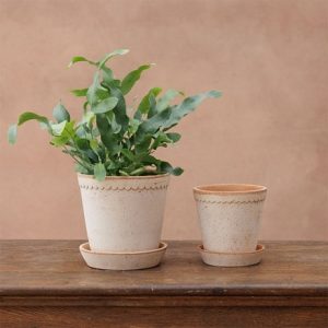 Simple scallop plant pot & saucer - terracotta