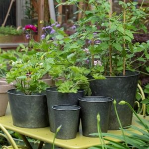 Single dark galvanised metal pot