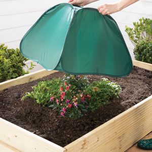 Small Garden Floating Row Cover Mesh Cloche Tunnel Green H42.5 XW56 XD56CM