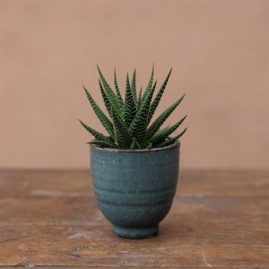 Small glazed plant pot - blue