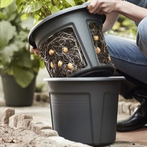 Small space potato plant pot - black