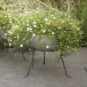 Sphere planter with stand