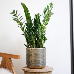 Steel embossed plant pot - gold