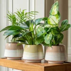 Stoneware reactive glaze plant pot set of 3 - multi