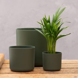 Straight edged plant pot - dark green