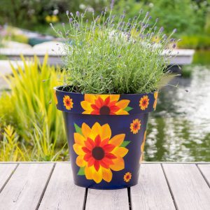 Sunflower 38Cm Pot Set Of 2