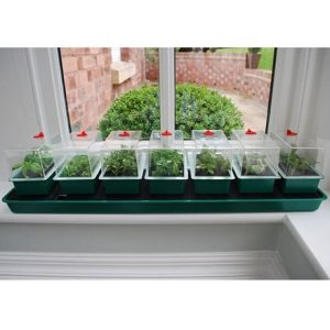 Super 7 self watering propagator