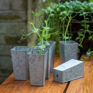 Tall galvanised metal root trainer pots - set of 6