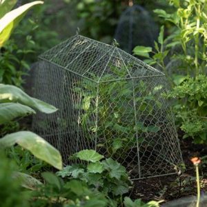 Tent cloche