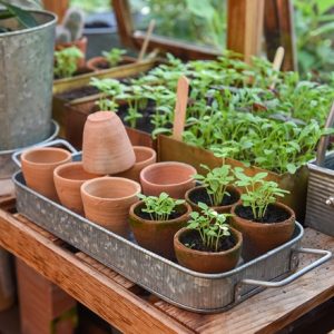 Terracotta grow pots - set of 10 with galvanised metal tray