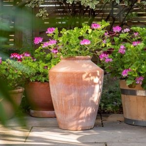 Terracotta pelargonium/geranium pot - large