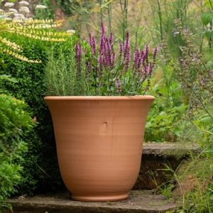 Terracotta perennial bell pot