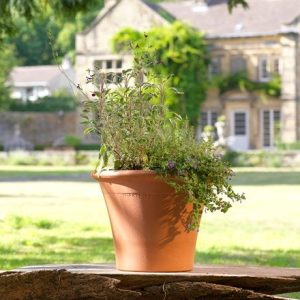 Terracotta rimmed pot large