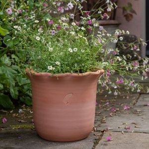 Terracotta ruffle pot