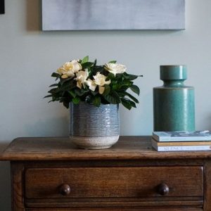 Textured two-tone plant pot - denim blue