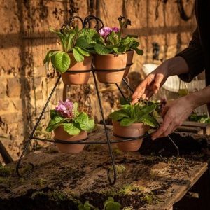 Tiered plant theatre - 6 pots