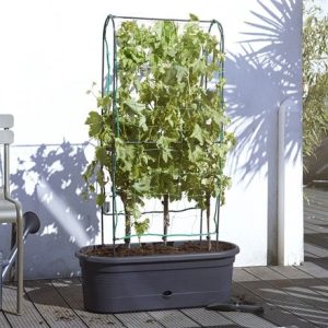 Vegetable planter with support frame and trellis - black