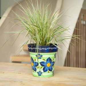 Verde 22Cm Pot Set Of 3