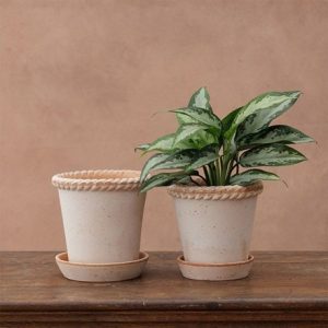 Woven edge plant pot & saucer - terracotta