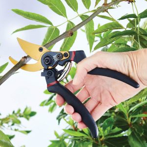 Bypass Pruning Garden Shears Titanium Soft grip L22cm